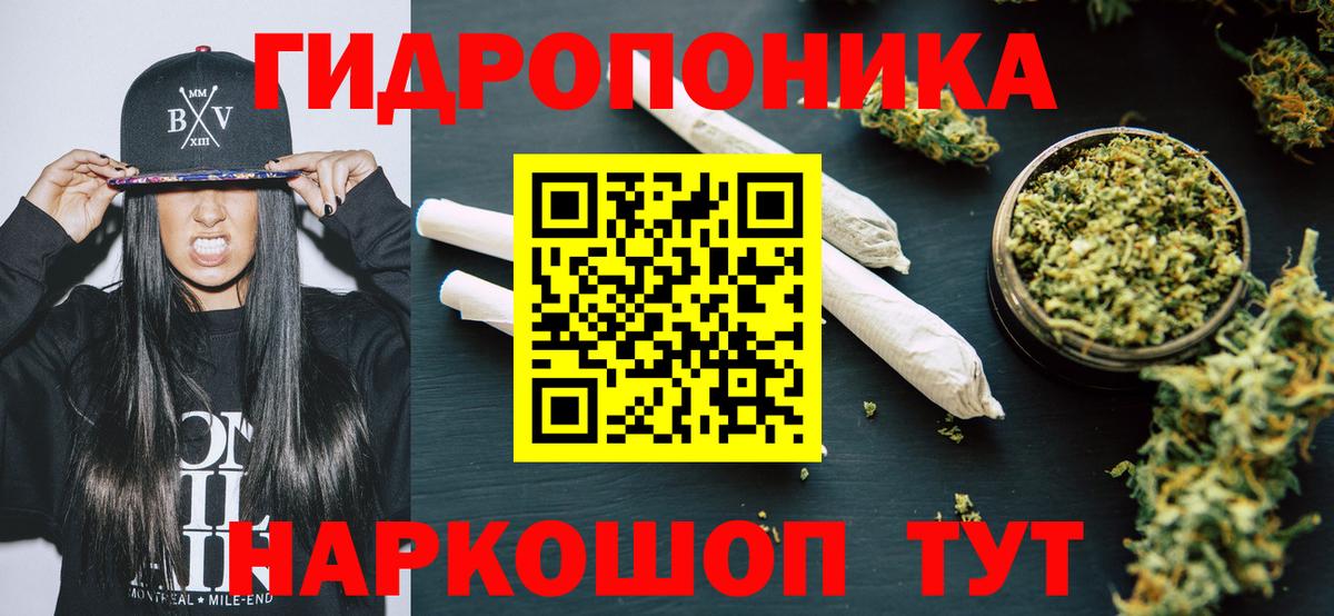 Бошки Шишки семена  Бошки марихуана план  Вход с VPN  Костомукша  Конопля THC 21%  Бошки марихуана планчик 